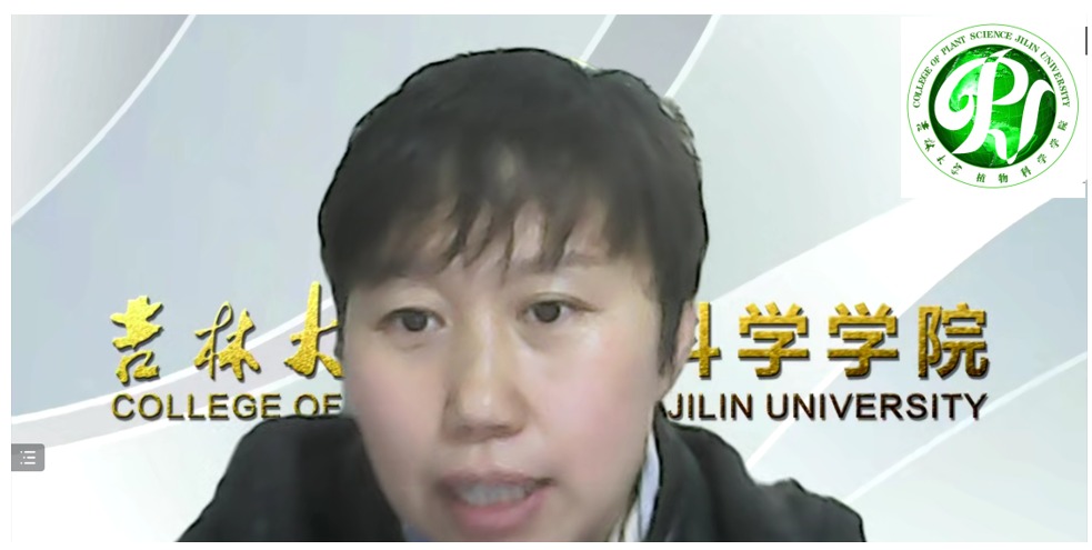 截图里有图片描述已自动生成